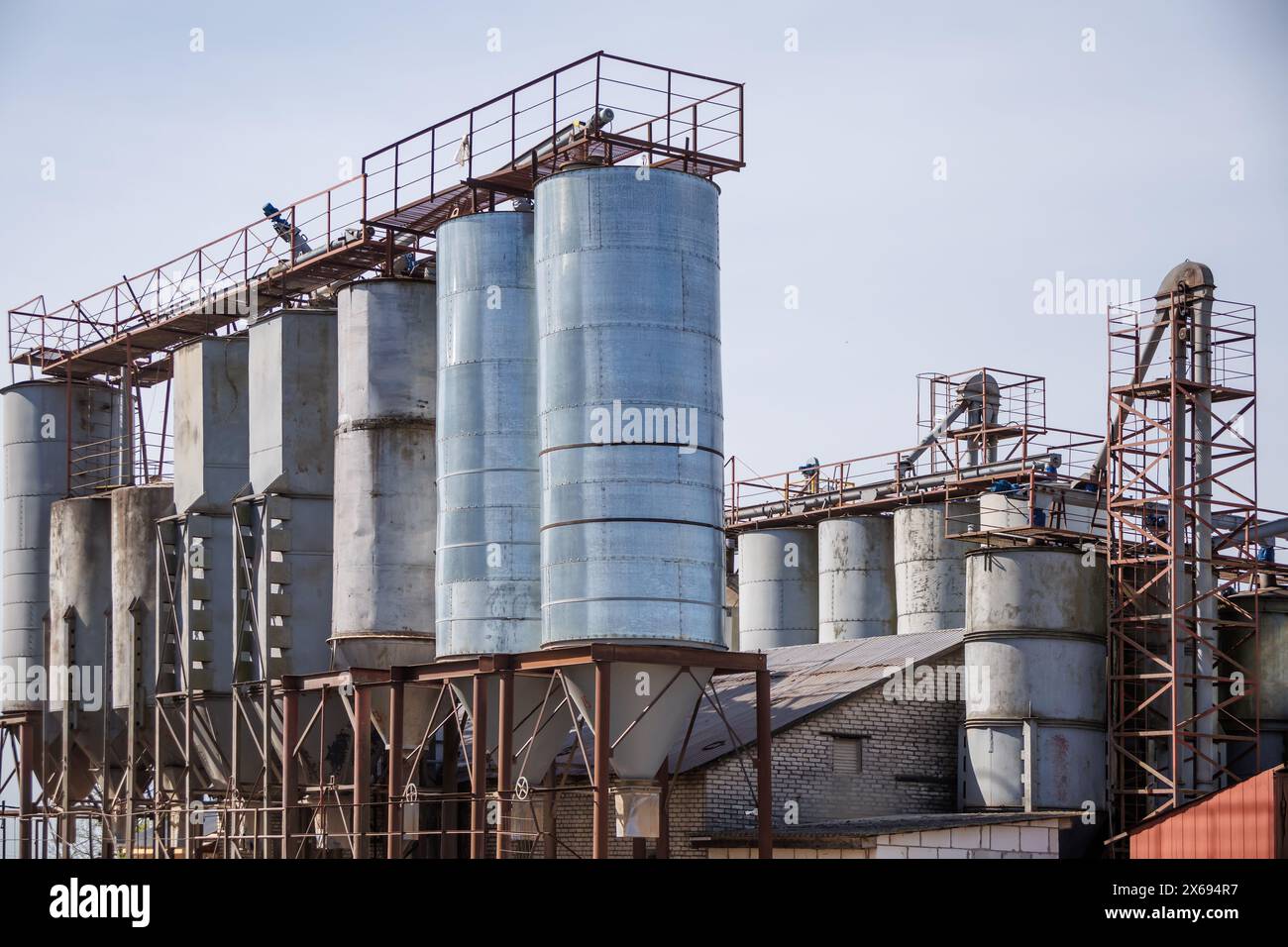 silos élévateur à granulés sur complexe agro-industriel avec ligne de nettoyage et de séchage des semences pour le stockage du grain Banque D'Images
