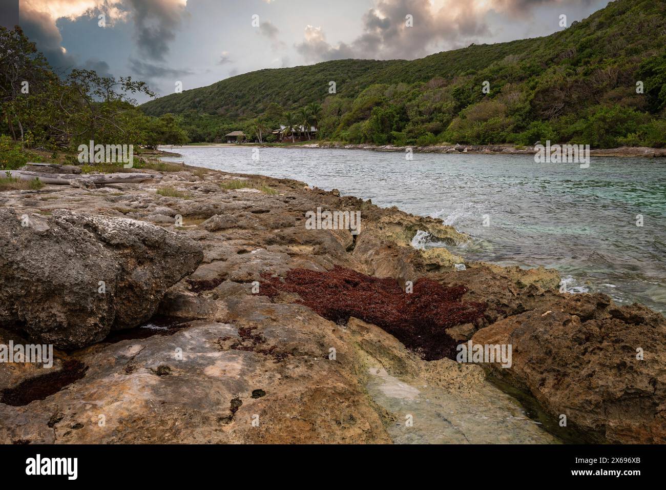 Côte rocheuse, longue baie au bord de la mer au coucher du soleil. Vue dangereuse sur la mer des Caraïbes. Climat tropical au coucher du soleil à la porte d'Enfer, Grande Terre, Guadeloupe, Antilles françaises Banque D'Images