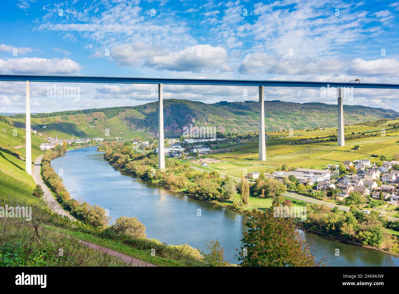 Zeltingen-Rachtig, Hochmoselbrücke (Pont de la haute Moselle), Moselle (Moselle), élevage, vignoble, région de Moselle, Rhénanie-Palatinat, Allemagne Banque D'Images