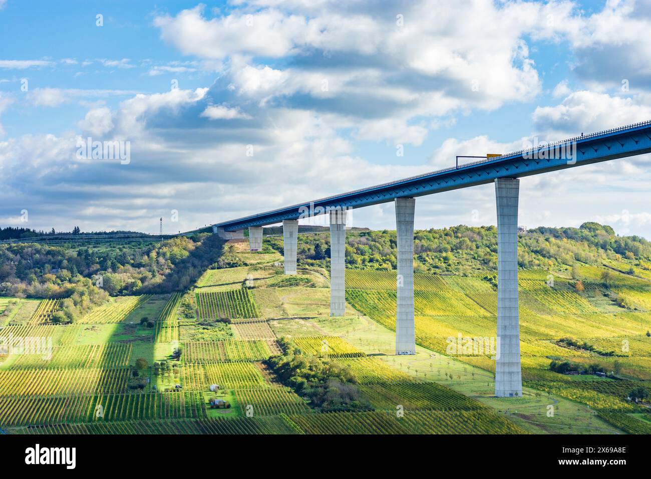 Zeltingen-Rachtig, Hochmoselbrücke (Pont de la haute Moselle), Moselle (Moselle), élevage, vignoble, région de Moselle, Rhénanie-Palatinat, Allemagne Banque D'Images