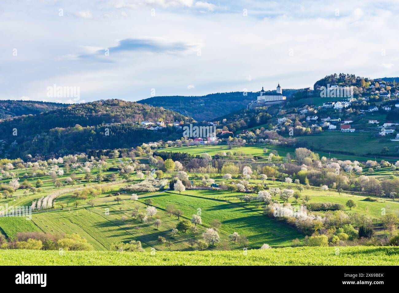 Forchtenstein, Château de Forchtenstein, cerisiers en fleurs, vergers en fleurs, Rosaliengebirge (Rosalia Mountains) en arrière-plan à Neusiedler See (Lake Neusiedl), Burgenland, Autriche Banque D'Images