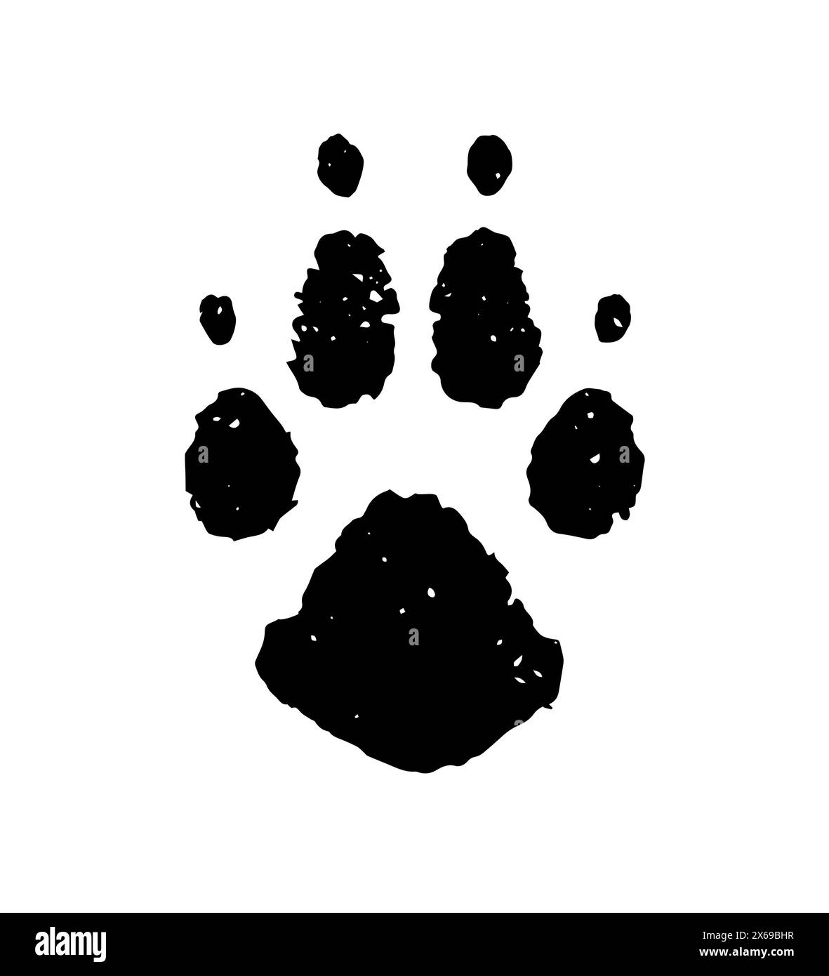 Empreinte de patte chien, loup, tigre ou chat. Empreintes PET. Icône empreinte. Chiot à pied noir isolé sur fond blanc. Forme d'ongles des pattes. Silhouette marche animal Illustration de Vecteur