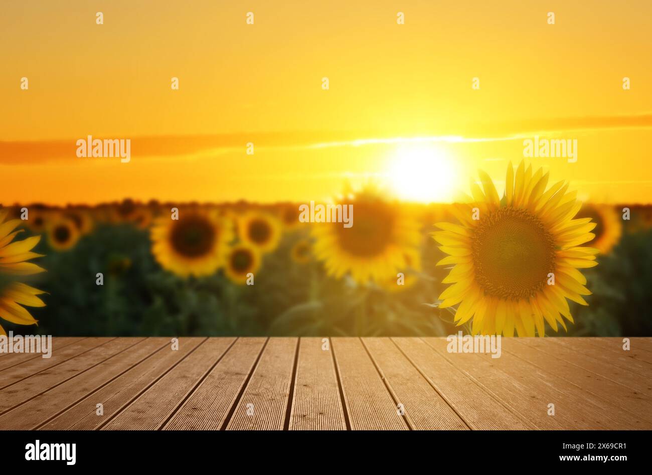 3 Pièces Décoration Table En Bois Tournesol Panneau