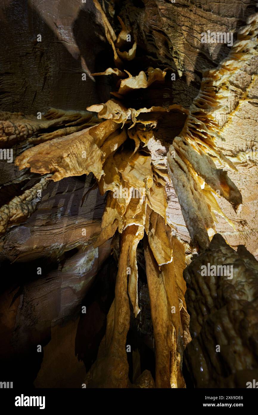 Fritte de plafond dans une grotte Banque D'Images