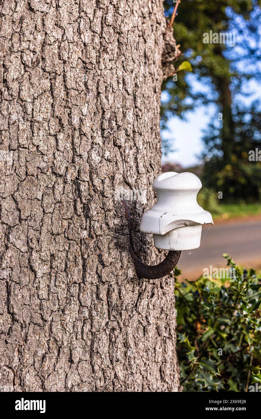Ancien isolant électrique avec céramique blanche sur un tronc d'arbre Banque D'Images