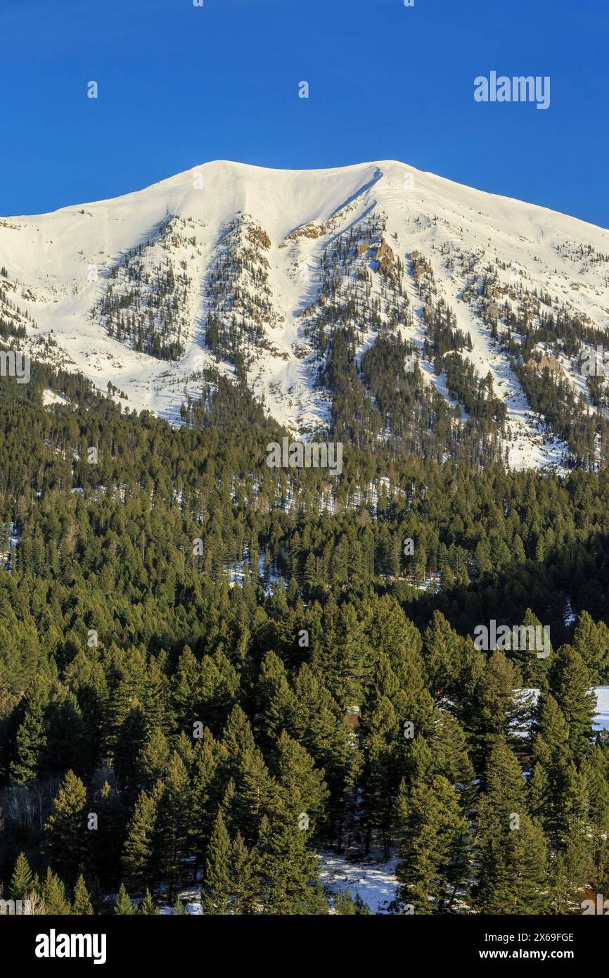 montagne de selle dans la chaîne bridger près de bozeman, montana Banque D'Images