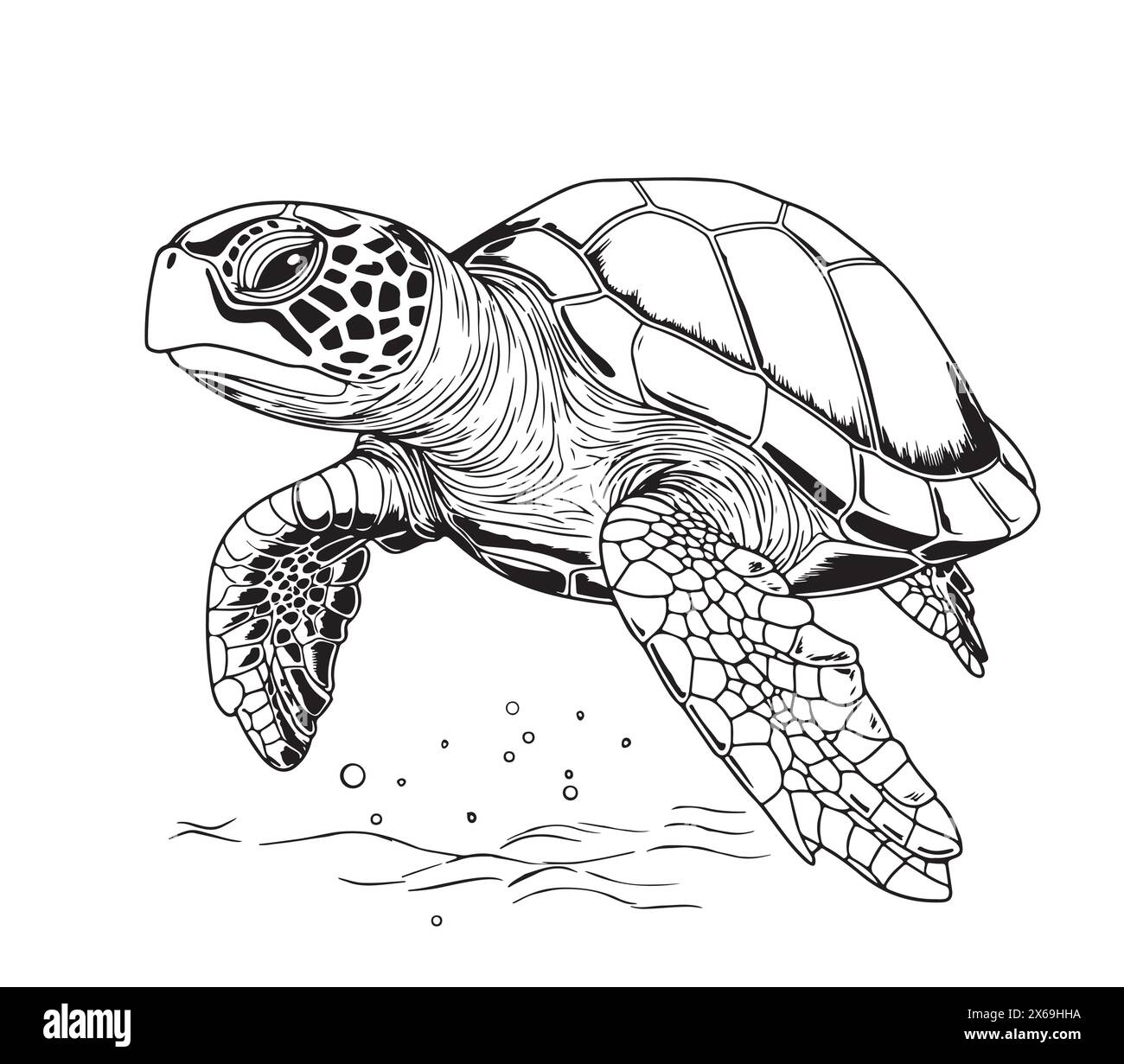 Tortue de mer dessin de style gravure dessiné à la main animaux sous-marins illustration vectorielle. Illustration de Vecteur