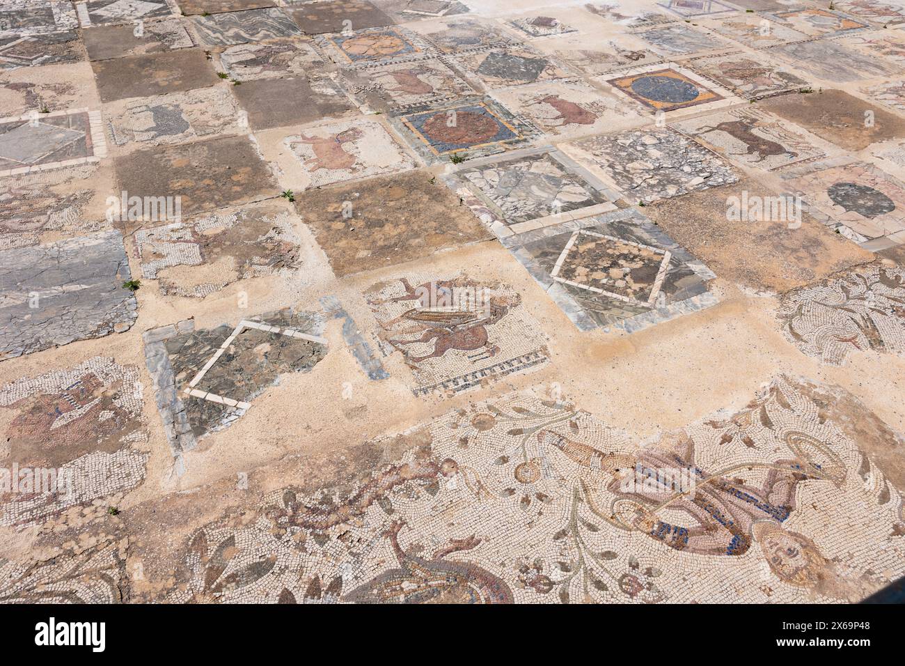 Vestiges de sols en mosaïque d'anciennes villas romaines à Carthage Banque D'Images