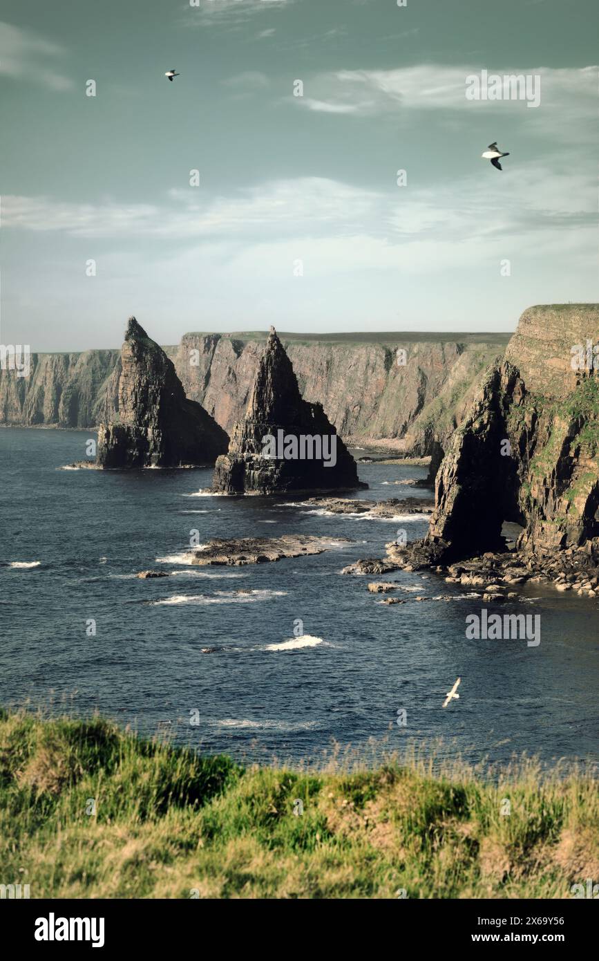 Duncansby Head érode des marches marines et des falaises de la mer du Nord près de John o' Groats. Région de Caithness de la région des Highlands en Écosse Banque D'Images