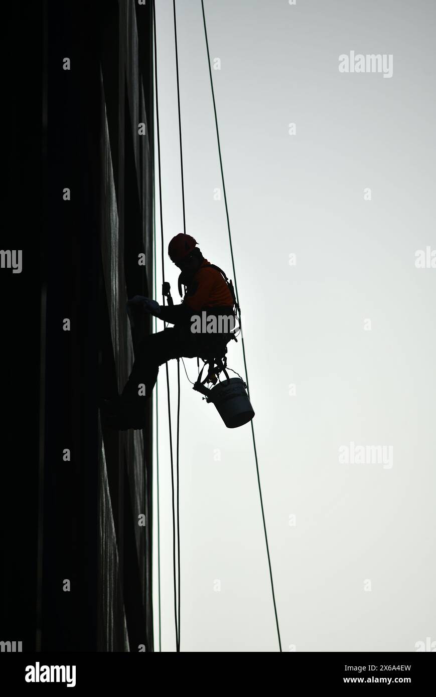 Silhouette d'un homme descendant en rappel et lavant les fenêtres sur un immeuble de grande hauteur Banque D'Images
