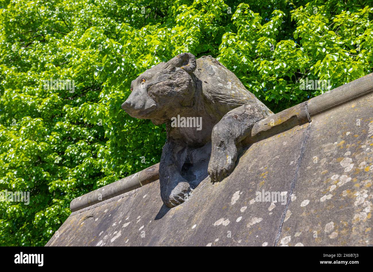 Ours en pierre sculpté sur le mur animal du château de Cardiff. Castle Street, Cardiff, pays de Galles Banque D'Images