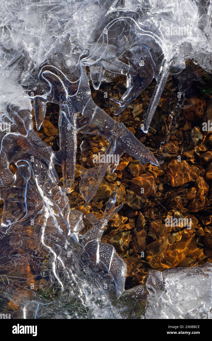 Motifs de glace intrigants sur un ruisseau partiellement gelé à travers les landes, New Forest, Hampshire, Royaume-Uni, janvier. Banque D'Images