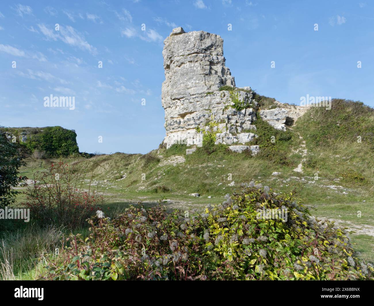 Nicodemus Knob, un pilier rocheux de 10 m de haut provenant de la carrière de Portland Stone aux Amiralty Quarries, Grove, île de Portland, Dorset, Royaume-Uni, octobre Banque D'Images