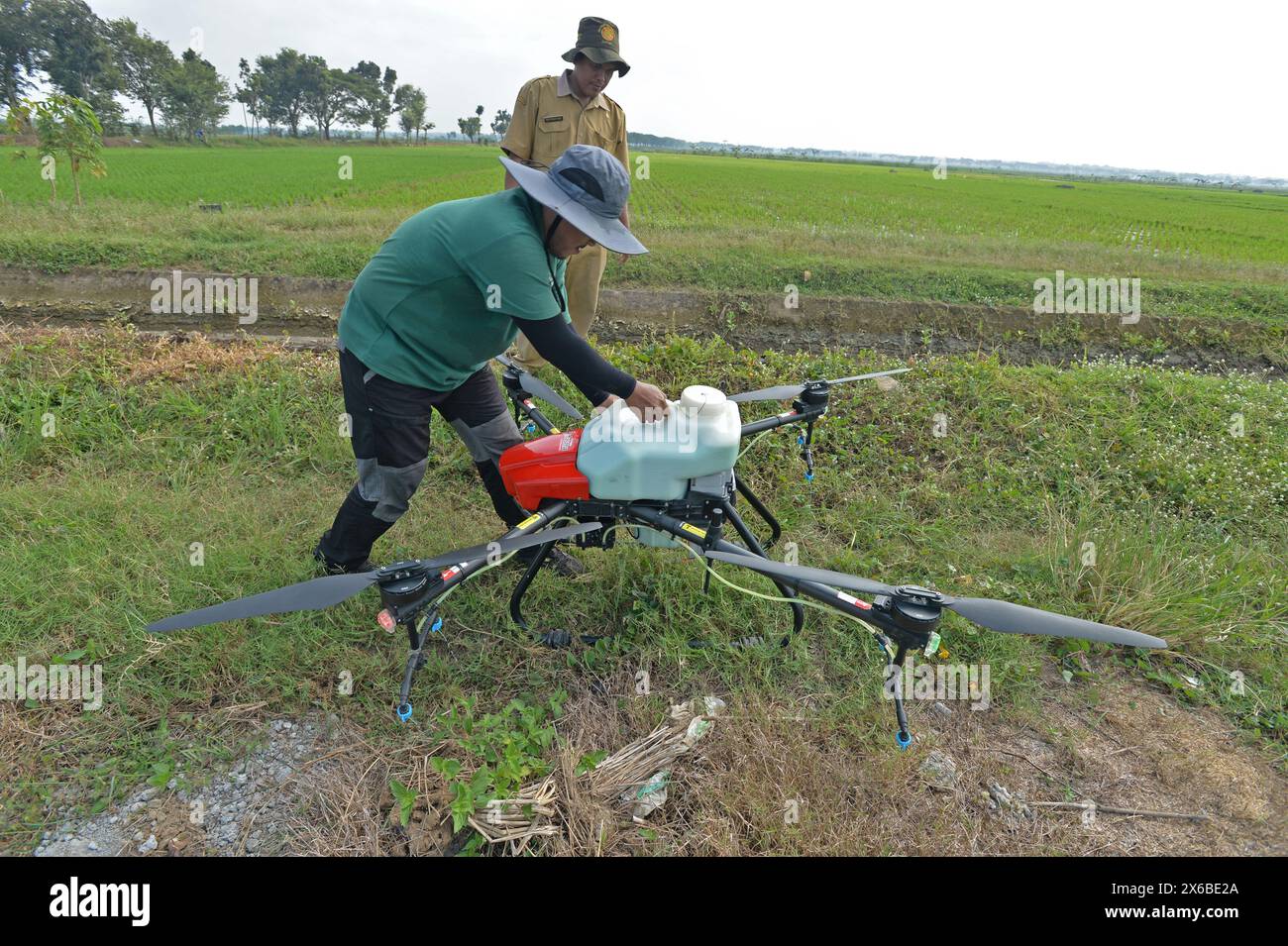 Le 13 mai 2024, Purworejo, Java central, Indonésie : un opérateur de drone vole et pulvérise des pesticides liquides et de l'engrais liquide pour plantes de riz qui seront pulvérisés sur une rizière de 35 hectares dans le village de Sruwoh, sous-district de Ngombol, Purworejo, Java central, le 13 mai 2024, certains agriculteurs locaux ont commencé à utiliser des drones pour fertiliser les cultures et également pulvériser un liquide répulsif sur les plants de riz, ce qui est considéré comme plus efficace et efficient car cela ne prend en moyenne que 15-20 minutes sur une terre de 2 hectares en aidant à augmenter les rendements des cultures ainsi que la main-d’œuvre et l’efficacité du temps, le drone agricole Banque D'Images