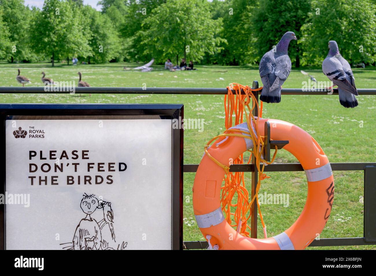 Londres, Royaume-Uni. S'il vous plaît ne pas nourrir le panneau des oiseaux dans les jardins de Kensington, avec des oiseaux. Photo de Quentin Black Banque D'Images