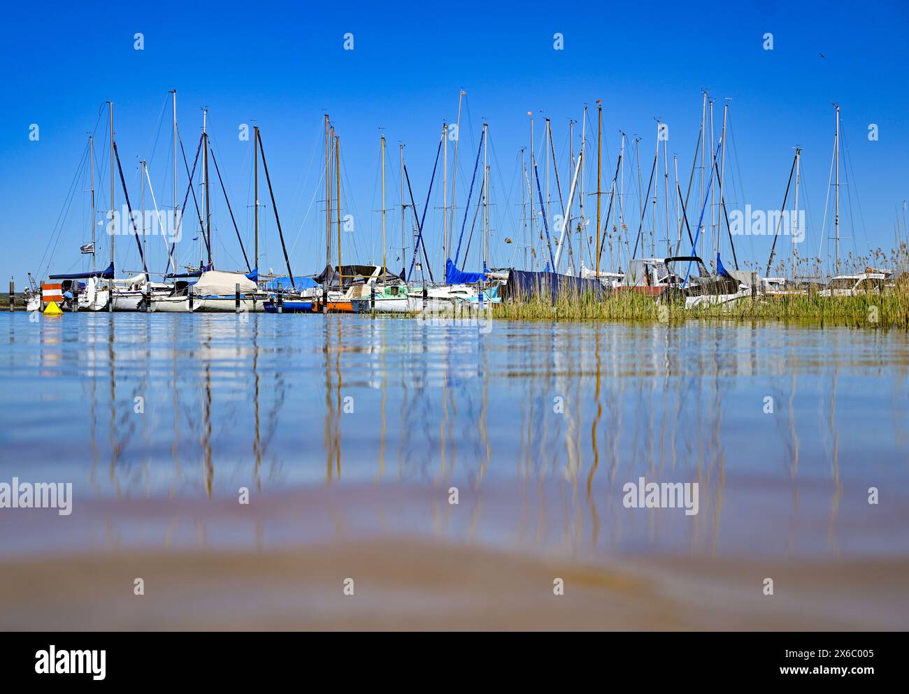 14 mai 2024, Brandebourg, Diensdorf-Radlow : vue sur le lac Scharmützelsee depuis la rive est. Selon les autorités, les eaux de baignade du Brandebourg sont d'excellente qualité au début de la saison balnéaire. Les autorités sanitaires des districts et des villes indépendantes ont évalué 230 sur 251 comme étant d'excellente qualité, a annoncé dimanche le ministère de la protection des consommateurs à Potsdam. L'eau du lac Scharmützel est également d'excellente qualité. Le plan d'eau dans la région de Storkower Land, également appelé le Märkisches Meer par Fontane, est le plus grand lac du Brandebourg avec Banque D'Images
