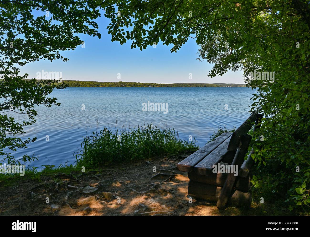 14 mai 2024, Brandebourg, Diensdorf-Radlow : vue sur le lac Scharmützelsee depuis la rive est. Selon les autorités, les eaux de baignade du Brandebourg sont d'excellente qualité au début de la saison balnéaire. Les autorités sanitaires des districts et des villes indépendantes ont évalué 230 sur 251 comme étant d'excellente qualité, a annoncé dimanche le ministère de la protection des consommateurs à Potsdam. L'eau du lac Scharmützel est également d'excellente qualité. Le plan d'eau dans la région de Storkower Land, également appelé le Märkisches Meer par Fontane, est le plus grand lac du Brandebourg avec Banque D'Images