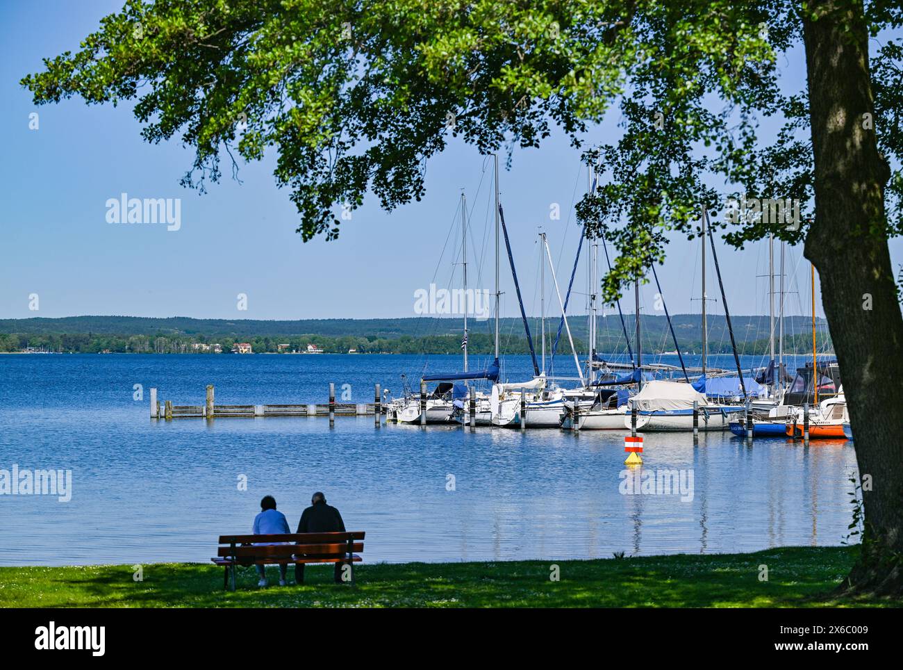 14 mai 2024, Brandebourg, Diensdorf-Radlow : vue sur le lac Scharmützelsee depuis la rive est. Selon les autorités, les eaux de baignade du Brandebourg sont d'excellente qualité au début de la saison balnéaire. Les autorités sanitaires des districts et des villes indépendantes ont évalué 230 sur 251 comme étant d'excellente qualité, a annoncé dimanche le ministère de la protection des consommateurs à Potsdam. L'eau du lac Scharmützel est également d'excellente qualité. Le plan d'eau dans la région de Storkower Land, également appelé le Märkisches Meer par Fontane, est le plus grand lac du Brandebourg avec Banque D'Images