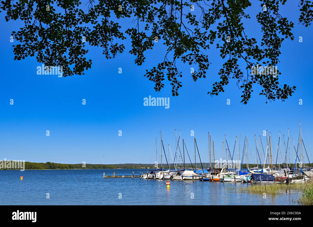 14 mai 2024, Brandebourg, Diensdorf-Radlow : vue sur le lac Scharmützelsee depuis la rive est. Selon les autorités, les eaux de baignade du Brandebourg sont d'excellente qualité au début de la saison balnéaire. Les autorités sanitaires des districts et des villes indépendantes ont évalué 230 sur 251 comme étant d'excellente qualité, a annoncé dimanche le ministère de la protection des consommateurs à Potsdam. L'eau du lac Scharmützel est également d'excellente qualité. Le plan d'eau dans la région de Storkower Land, également appelé le Märkisches Meer par Fontane, est le plus grand lac du Brandebourg avec Banque D'Images