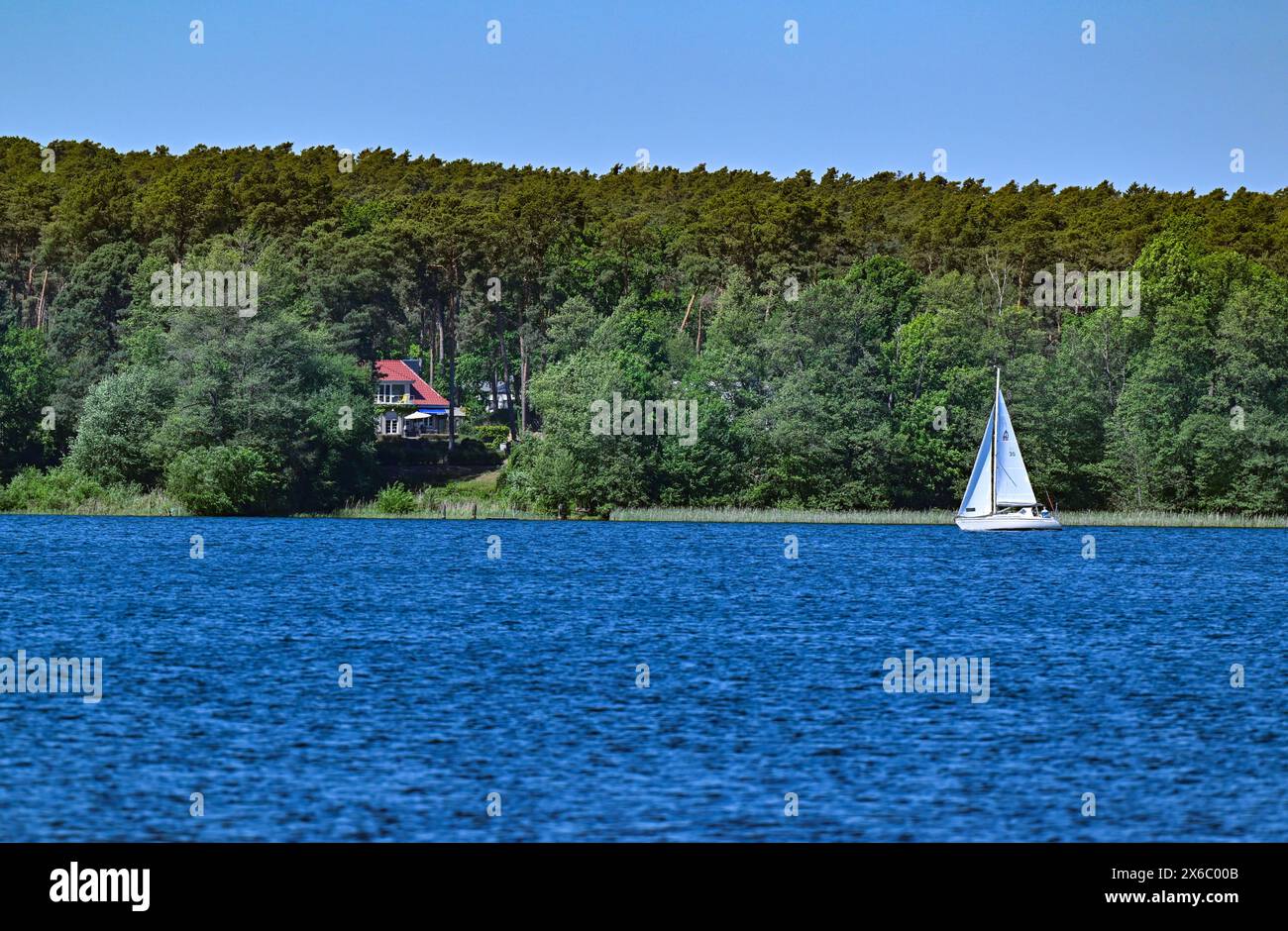 14 mai 2024, Brandebourg, Diensdorf-Radlow : vue sur le lac Scharmützelsee depuis la rive est. Selon les autorités, les eaux de baignade du Brandebourg sont d'excellente qualité au début de la saison balnéaire. Les autorités sanitaires des districts et des villes indépendantes ont évalué 230 sur 251 comme étant d'excellente qualité, a annoncé dimanche le ministère de la protection des consommateurs à Potsdam. L'eau du lac Scharmützel est également d'excellente qualité. Le plan d'eau dans la région de Storkower Land, également appelé le Märkisches Meer par Fontane, est le plus grand lac du Brandebourg avec Banque D'Images