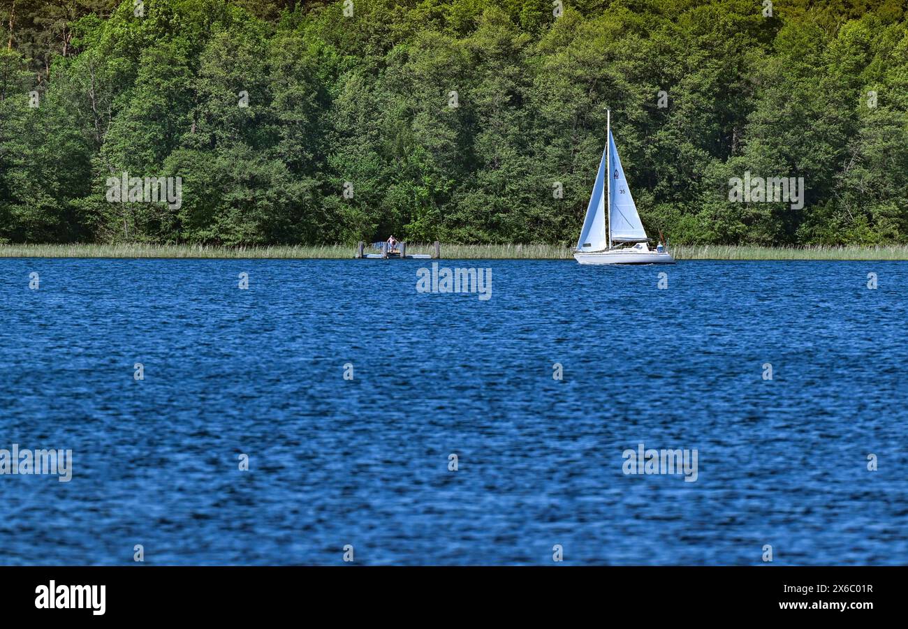 14 mai 2024, Brandebourg, Diensdorf-Radlow : vue sur le lac Scharmützelsee depuis la rive est. Selon les autorités, les eaux de baignade du Brandebourg sont d'excellente qualité au début de la saison balnéaire. Les autorités sanitaires des districts et des villes indépendantes ont évalué 230 sur 251 comme étant d'excellente qualité, a annoncé dimanche le ministère de la protection des consommateurs à Potsdam. L'eau du lac Scharmützel est également d'excellente qualité. Le plan d'eau dans la région de Storkower Land, également appelé le Märkisches Meer par Fontane, est le plus grand lac du Brandebourg avec Banque D'Images