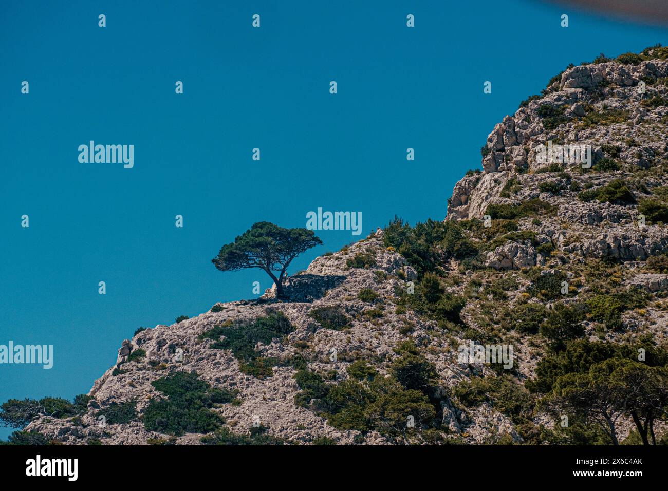 Arbre solitaire au sommet de falaises de calcaire accidentées contre une mer bleue Banque D'Images