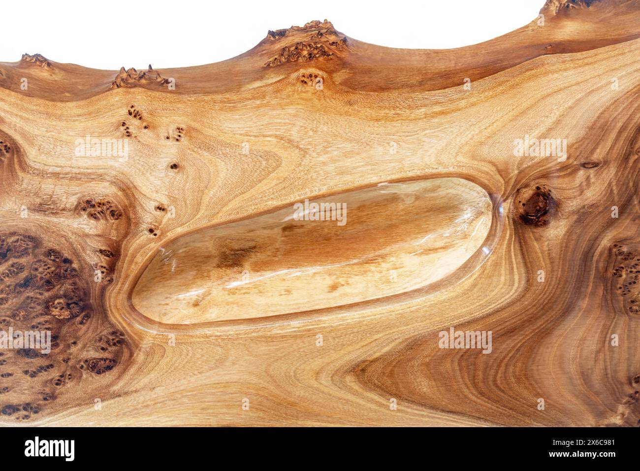Plateau de table Live Edge en ronce d'orme avec rivière centrale en résine époxy sur fond blanc, combinant le bois naturel avec un matériau synthétique vue de près Banque D'Images