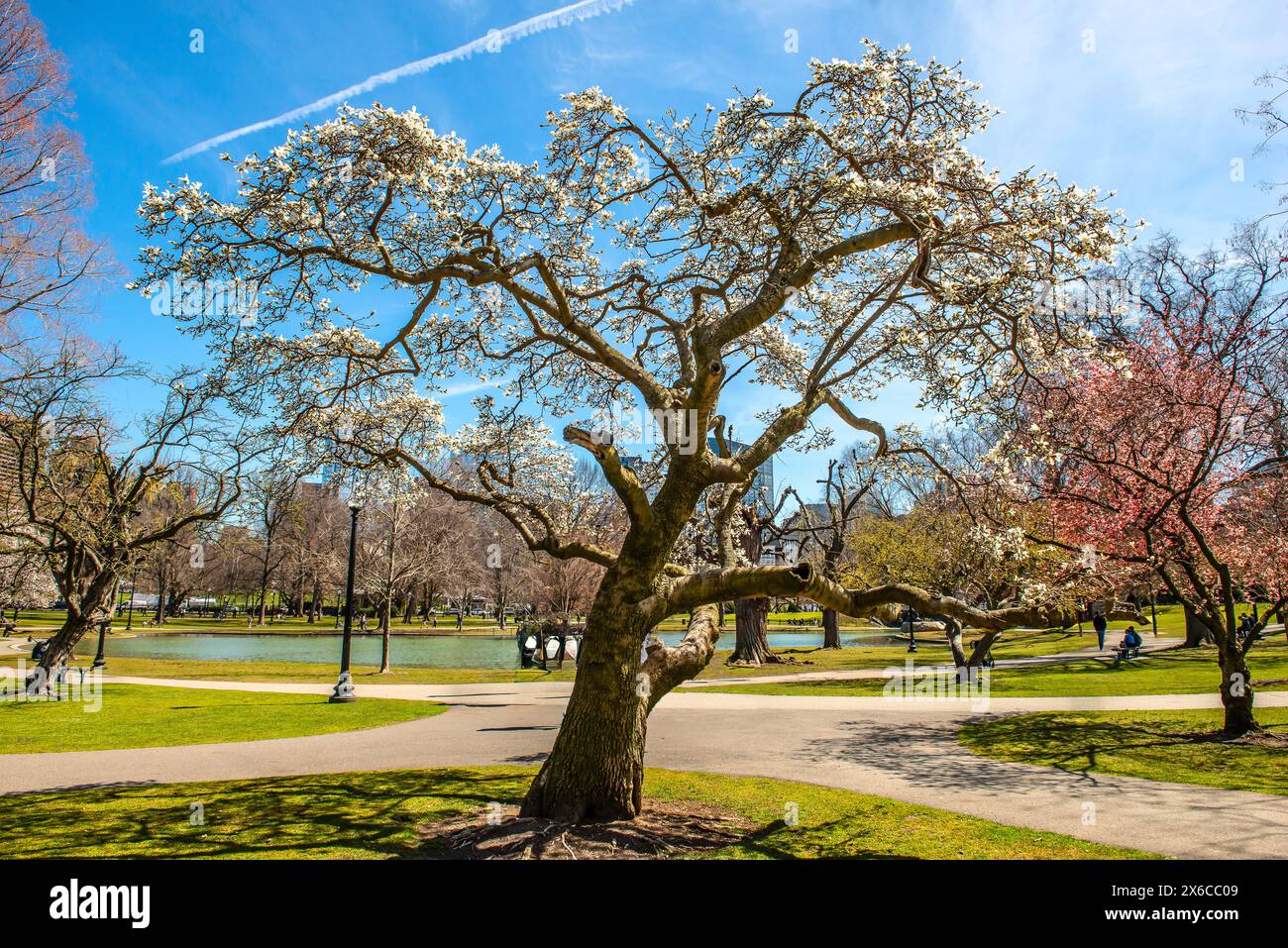 Printemps en Nouvelle-Angleterre, États-Unis Banque D'Images