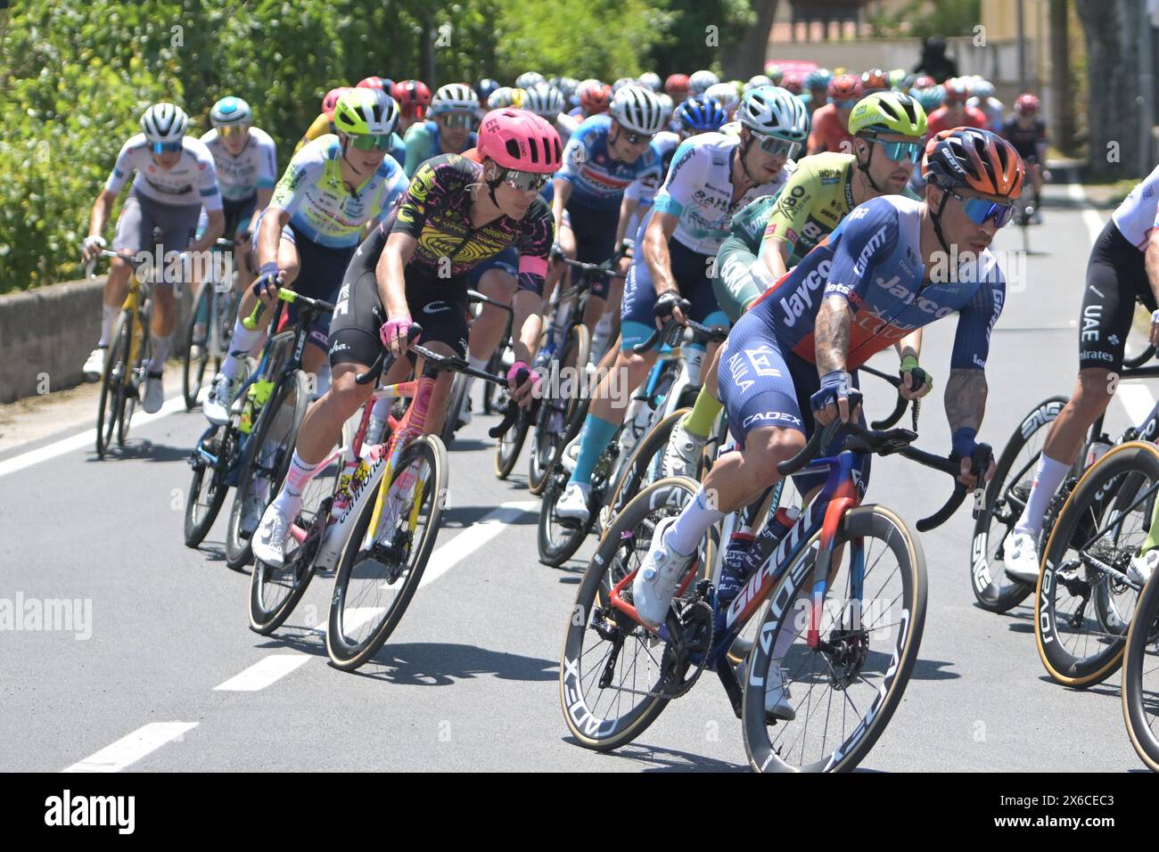 Palma Campania dans la province de Naples, Italie. 14 mai 2024 étape cycliste du Giro D'Italia à Palma Campania dans la province de Naples. Les cyclistes, qui sont partis de Pompéi, en action lors du passage avec arrivée à Cusano Mutri. Crédit : Agostino Gemito/Alamy Live News Banque D'Images