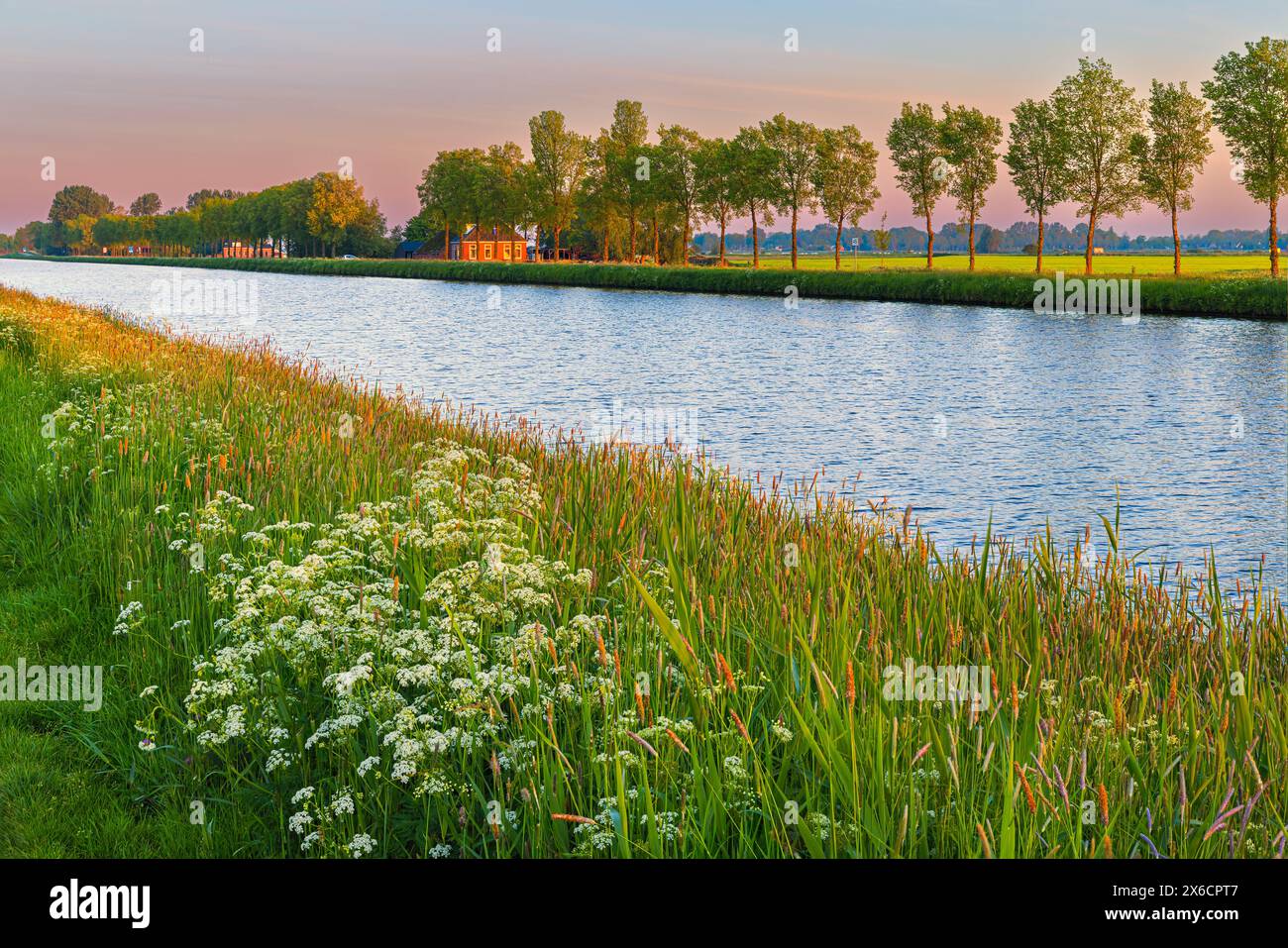 Un lever de soleil au printemps près du village de Zuidhorn le long du canal Van Starkenborgh et du Hoendiep, deux canaux de liaison dans la province de Groni Banque D'Images