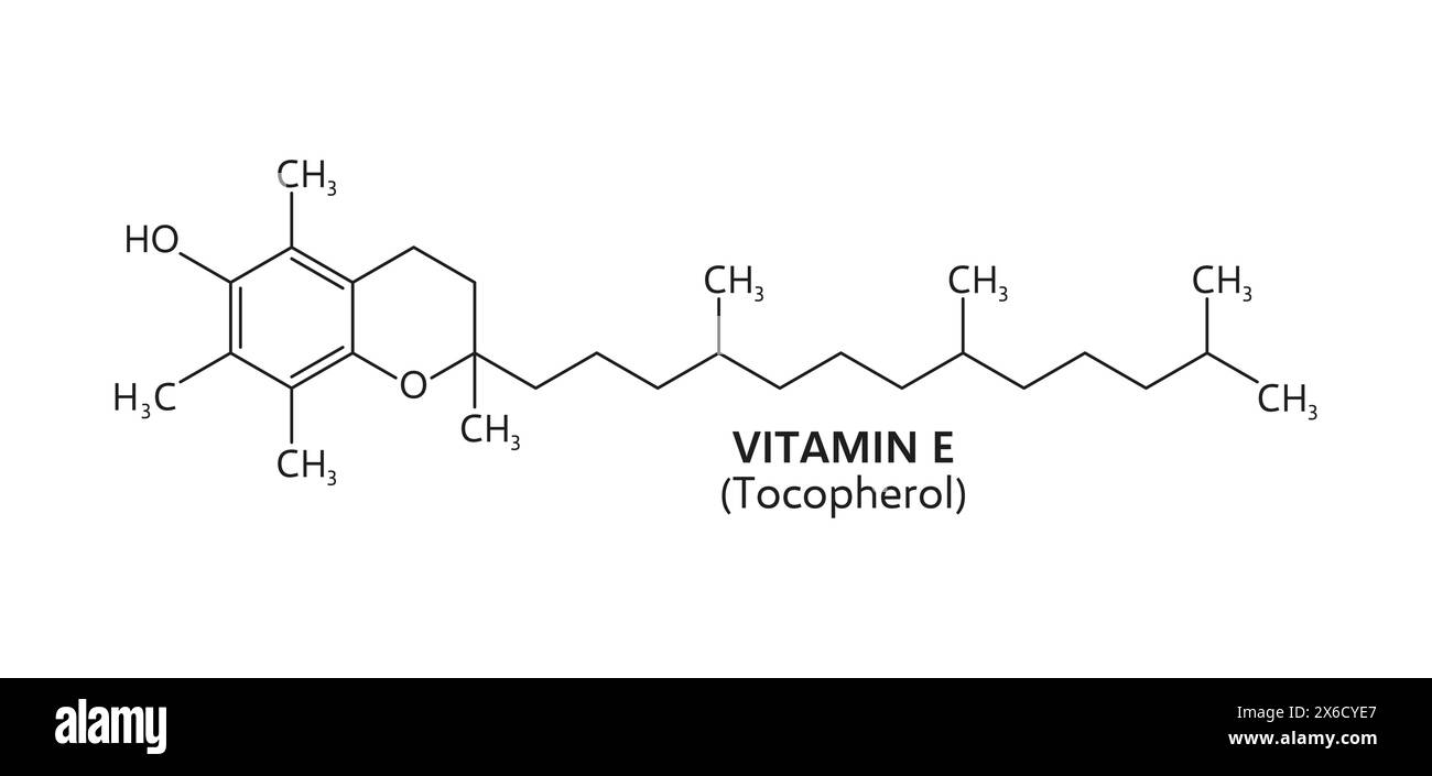 Formule de vitamine E, structure chimique de ligne des composés moléculaires de tocophérol. Chimie vectorielle, médecine et pharmacologie, formule structurelle antioxydante liposoluble de vitamine E. Illustration de Vecteur