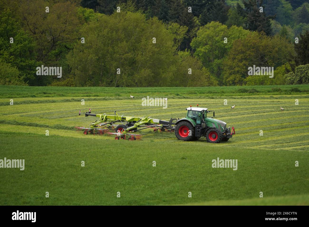 Traktor BEI der Arbeit Banque D'Images