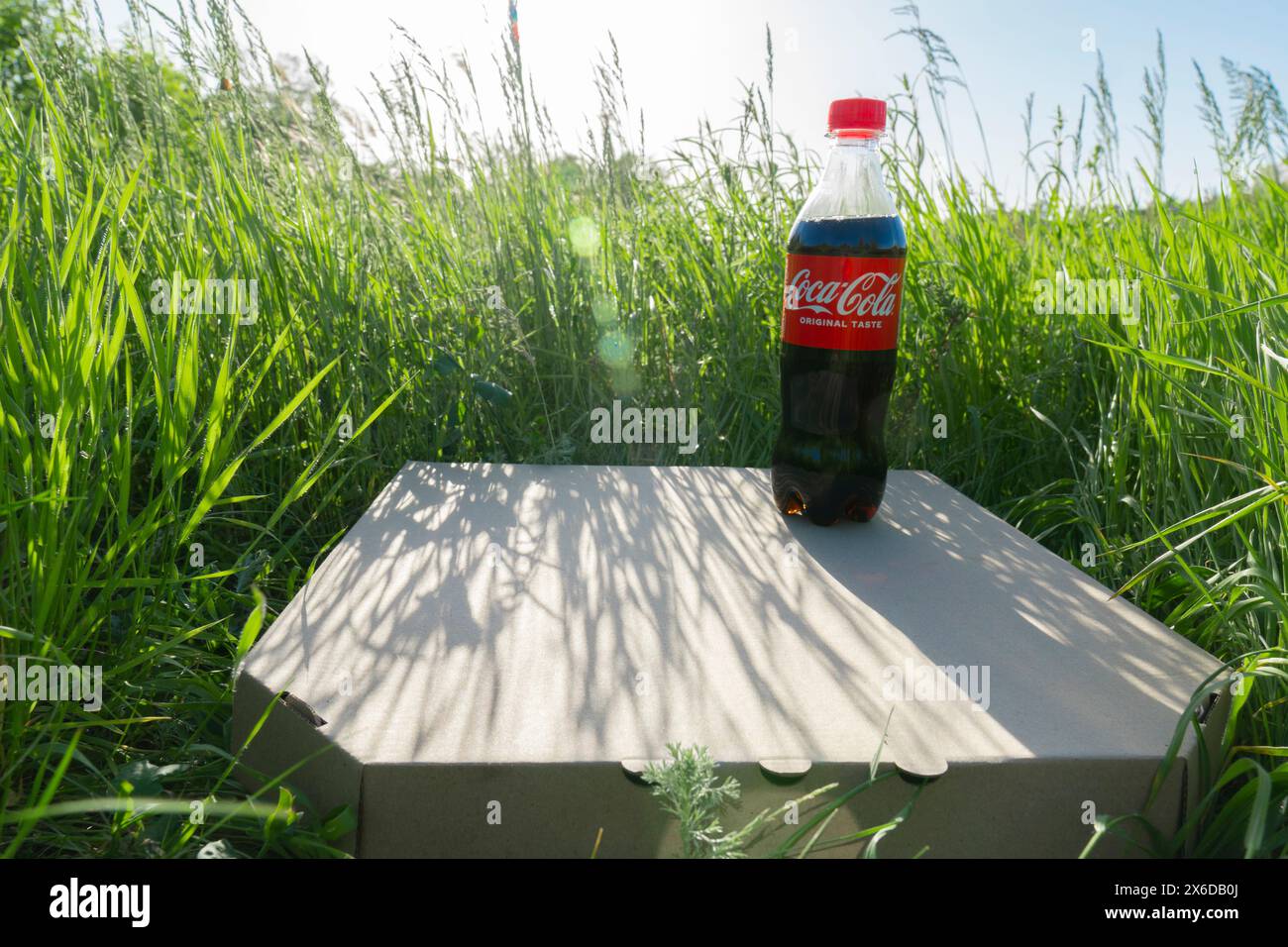 Une bouteille d'un demi-litre de Coca-Cola se tient sur une boîte en carton fermée avec de la pizza sur l'herbe verte par une journée d'été ensoleillée. Vue depuis le point inférieur Banque D'Images