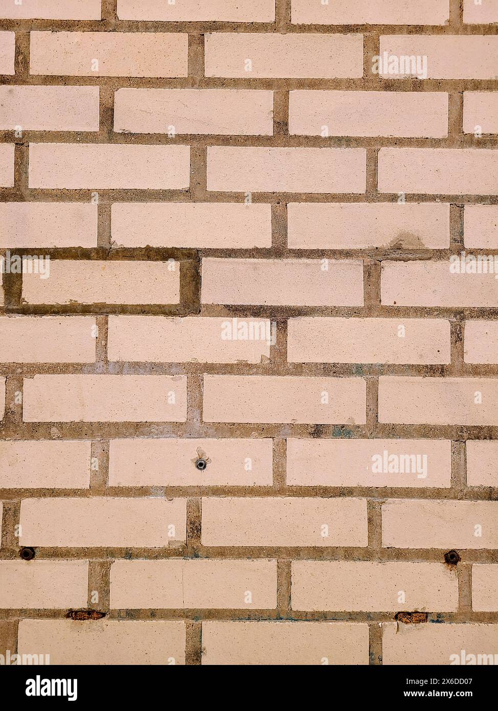 Texture de mur de brique beige patinée avec imperfections, perspective rapprochée Banque D'Images
