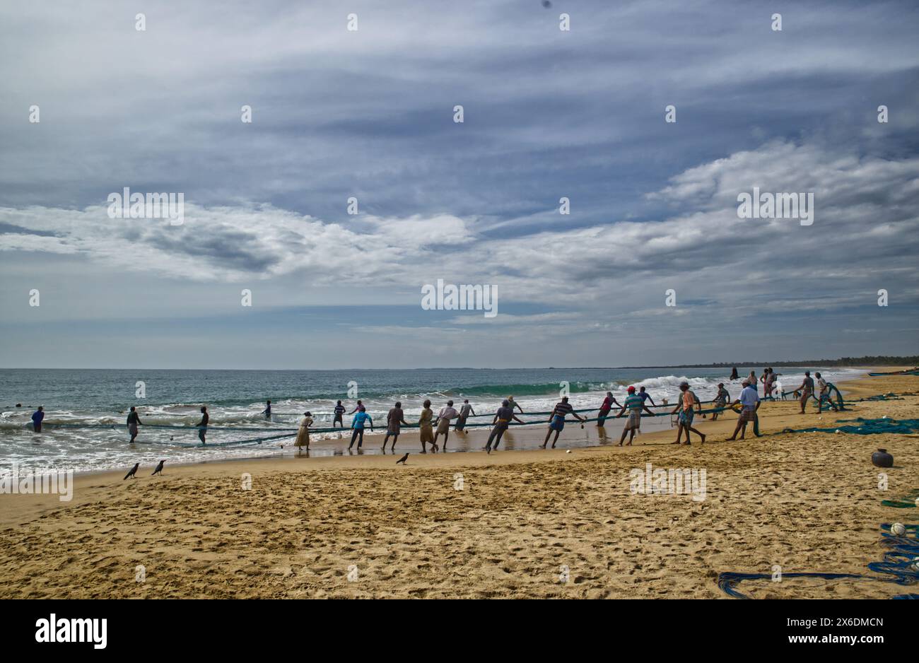 Les pêcheurs sri-lankais pêchent du poisson. Pêcheurs sri-lankais pêchant du poisson. Le filet jeté d'un bateau a, peut-être, un demi-kilomètre Ils le tirent à terre pour at le Banque D'Images Les pêcheurs sri-lankais pêchent du poisson. Pêcheurs sri-lankais pêchant du poisson. Le filet jeté d'un bateau a, peut-être, un demi-kilomètre Ils le tirent à terre pour at le Banque D'Images
