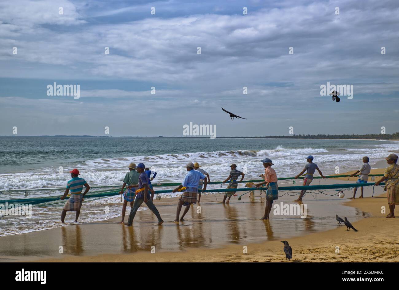Les pêcheurs sri-lankais pêchent du poisson. Pêcheurs sri-lankais pêchant du poisson. Le filet jeté d'un bateau a, peut-être, un demi-kilomètre Ils le tirent à terre pour at le Banque D'Images Les pêcheurs sri-lankais pêchent du poisson. Pêcheurs sri-lankais pêchant du poisson. Le filet jeté d'un bateau a, peut-être, un demi-kilomètre Ils le tirent à terre pour at le Banque D'Images