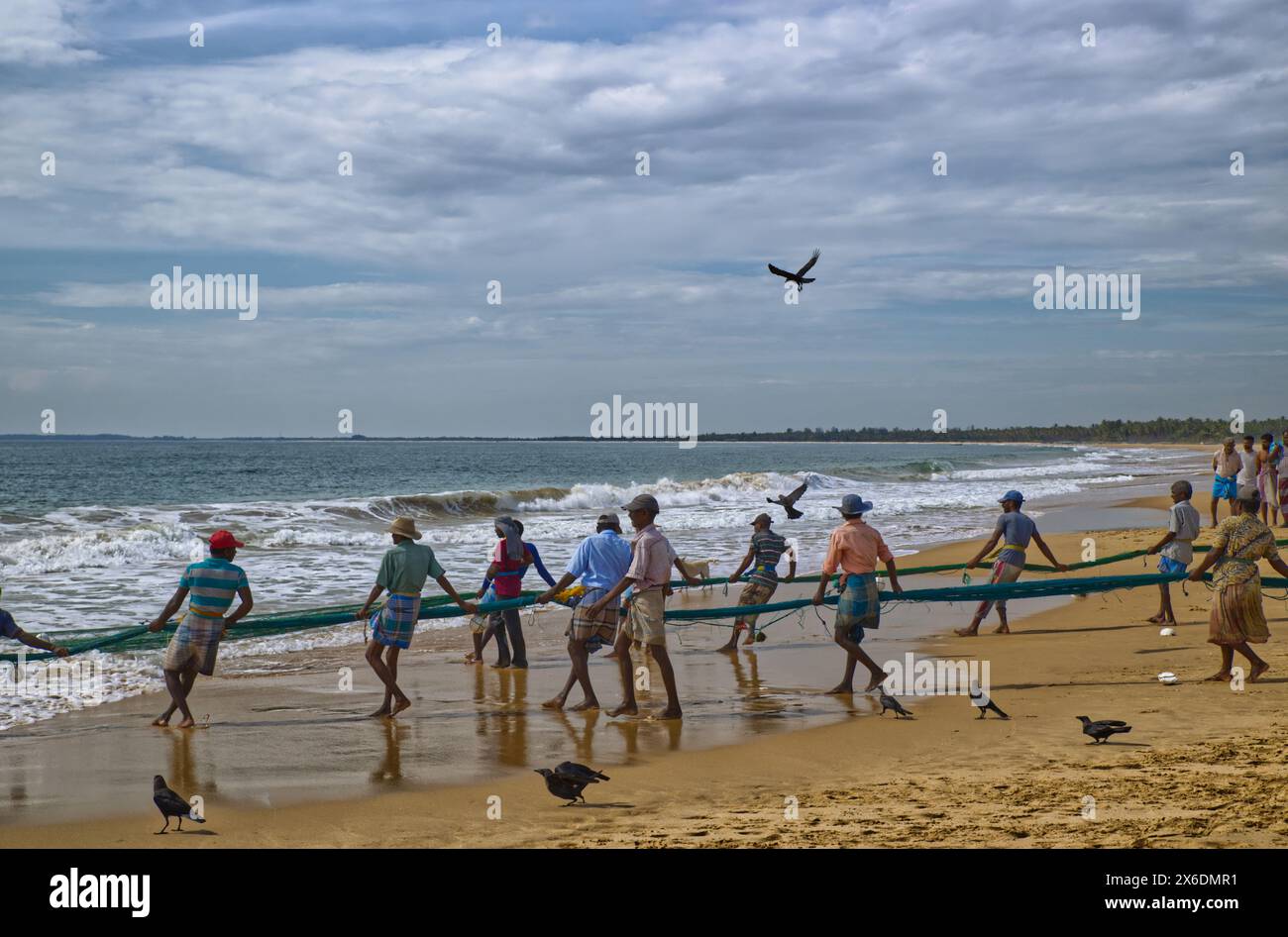 Les pêcheurs sri-lankais pêchent du poisson. Pêcheurs sri-lankais pêchant du poisson. Le filet jeté d'un bateau a, peut-être, un demi-kilomètre Ils le tirent à terre pour at le Banque D'Images Les pêcheurs sri-lankais pêchent du poisson. Pêcheurs sri-lankais pêchant du poisson. Le filet jeté d'un bateau a, peut-être, un demi-kilomètre Ils le tirent à terre pour at le Banque D'Images