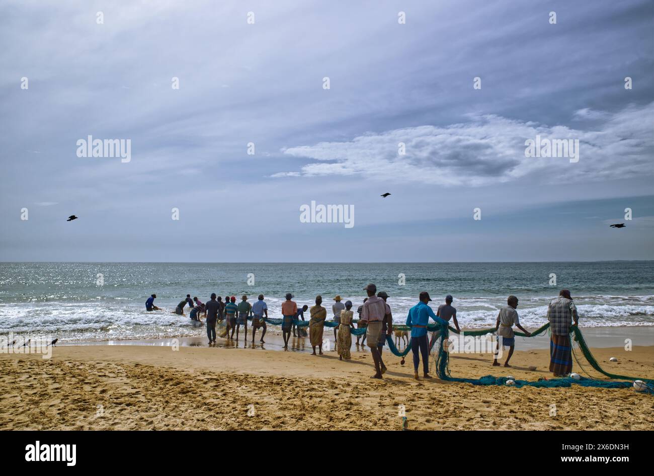 Les pêcheurs sri-lankais pêchent du poisson. Pêcheurs sri-lankais pêchant du poisson. Le filet jeté d'un bateau a, peut-être, un demi-kilomètre Ils le tirent à terre pour at le Banque D'Images Les pêcheurs sri-lankais pêchent du poisson. Pêcheurs sri-lankais pêchant du poisson. Le filet jeté d'un bateau a, peut-être, un demi-kilomètre Ils le tirent à terre pour at le Banque D'Images