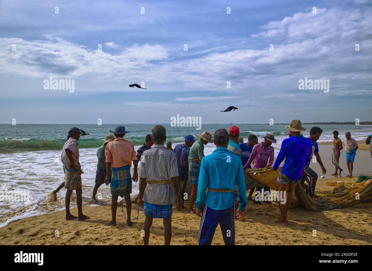 Les pêcheurs sri-lankais pêchent du poisson. Pêcheurs sri-lankais pêchant du poisson. Le filet jeté d'un bateau a, peut-être, un demi-kilomètre Ils le tirent à terre pour at le Banque D'Images Les pêcheurs sri-lankais pêchent du poisson. Pêcheurs sri-lankais pêchant du poisson. Le filet jeté d'un bateau a, peut-être, un demi-kilomètre Ils le tirent à terre pour at le Banque D'Images