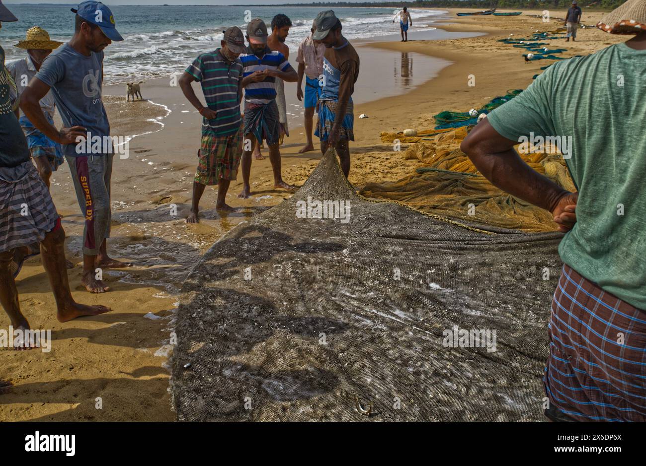 Les pêcheurs sri-lankais pêchent du poisson. Pêcheurs sri-lankais pêchant du poisson. Le filet jeté d'un bateau a, peut-être, un demi-kilomètre Ils le tirent à terre pour at le Banque D'Images Les pêcheurs sri-lankais pêchent du poisson. Pêcheurs sri-lankais pêchant du poisson. Le filet jeté d'un bateau a, peut-être, un demi-kilomètre Ils le tirent à terre pour at le Banque D'Images