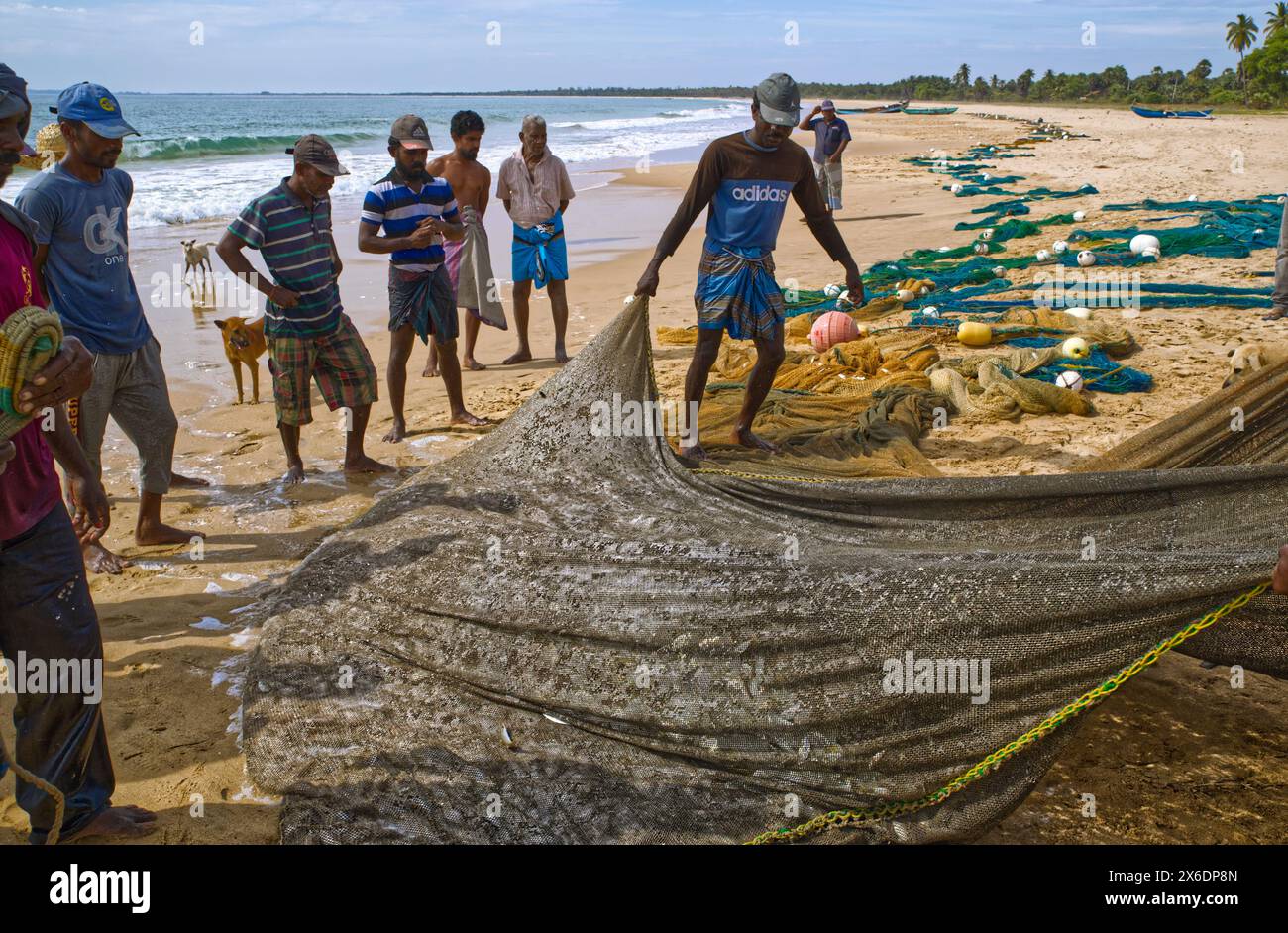 Les pêcheurs sri-lankais pêchent du poisson. Pêcheurs sri-lankais pêchant du poisson. Le filet jeté d'un bateau a, peut-être, un demi-kilomètre Ils le tirent à terre pour at le Banque D'Images Les pêcheurs sri-lankais pêchent du poisson. Pêcheurs sri-lankais pêchant du poisson. Le filet jeté d'un bateau a, peut-être, un demi-kilomètre Ils le tirent à terre pour at le Banque D'Images
