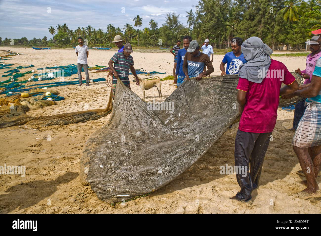 Les pêcheurs sri-lankais pêchent du poisson. Pêcheurs sri-lankais pêchant du poisson. Le filet jeté d'un bateau a, peut-être, un demi-kilomètre Ils le tirent à terre pour at le Banque D'Images Les pêcheurs sri-lankais pêchent du poisson. Pêcheurs sri-lankais pêchant du poisson. Le filet jeté d'un bateau a, peut-être, un demi-kilomètre Ils le tirent à terre pour at le Banque D'Images