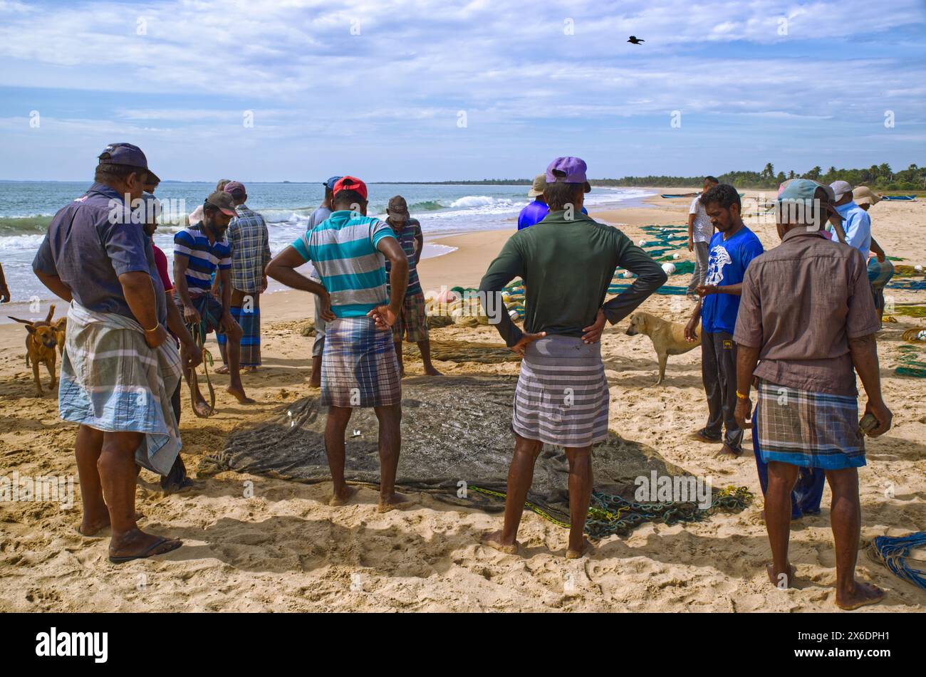 Les pêcheurs sri-lankais pêchent du poisson. Pêcheurs sri-lankais pêchant du poisson. Le filet jeté d'un bateau a, peut-être, un demi-kilomètre Ils le tirent à terre pour at le Banque D'Images Les pêcheurs sri-lankais pêchent du poisson. Pêcheurs sri-lankais pêchant du poisson. Le filet jeté d'un bateau a, peut-être, un demi-kilomètre Ils le tirent à terre pour at le Banque D'Images
