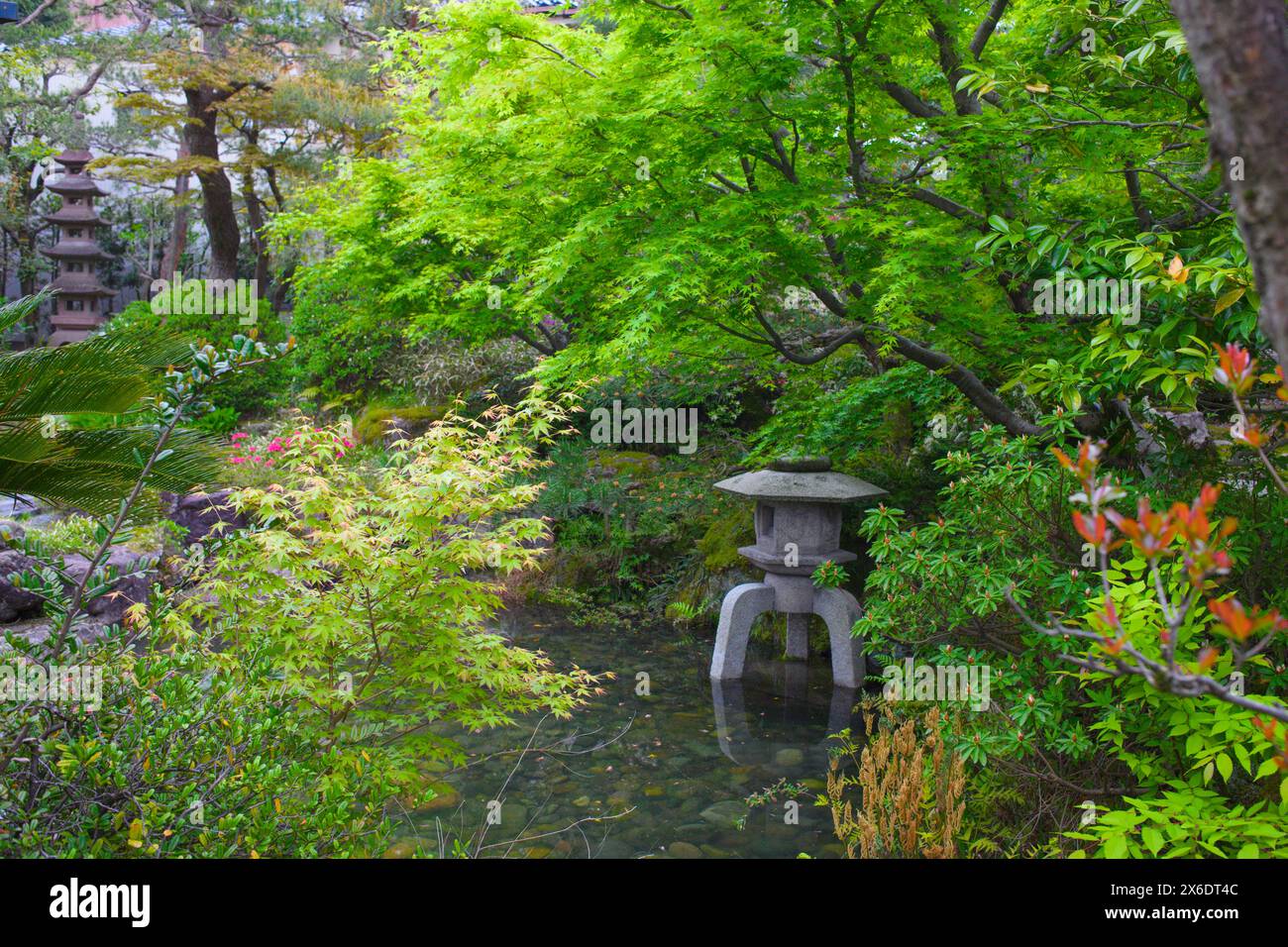 Japon, Kanazawa, Nagamachi, district des samouraïs, jardin, Banque D'Images