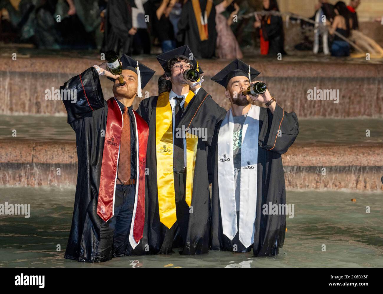 Austin Texas USA, 11 mai 2024 : les diplômés de la nouvelle université du Texas à Austin pataugeaient et éclaboussaient dans la fontaine de Littlefield immédiatement après leur cérémonie d'ouverture qui s'est tenue à proximité dans le stade de football de l'école. Le dunk festif est une tradition de longue date sur le campus. ©Bob Daemmrich Banque D'Images