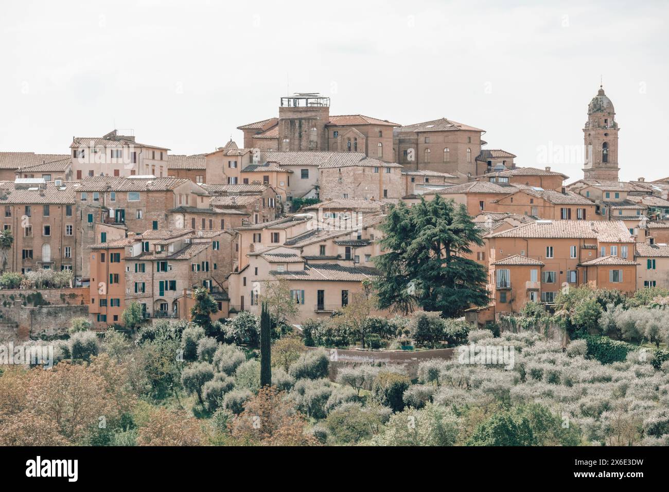 Maisons et maisons sur la ligne d'horizon de la ville médiévale historique de Sienne en Toscane, Italie par une journée ensoleillée avec un ciel lumineux et une architecture classique. Banque D'Images