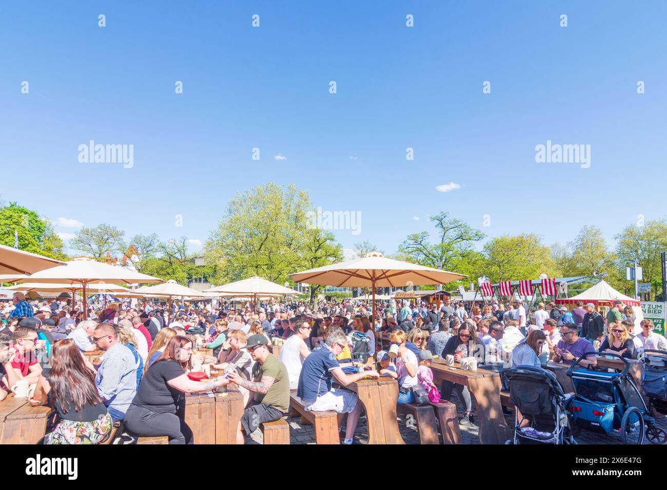 Ingolstadt : événement 'Fest zum Reinen Bier' (fête de la bière pure), bancs de bière, visiteurs à Oberbayern, haute-Bavière, Bayern, Bavière, Allemagne Banque D'Images