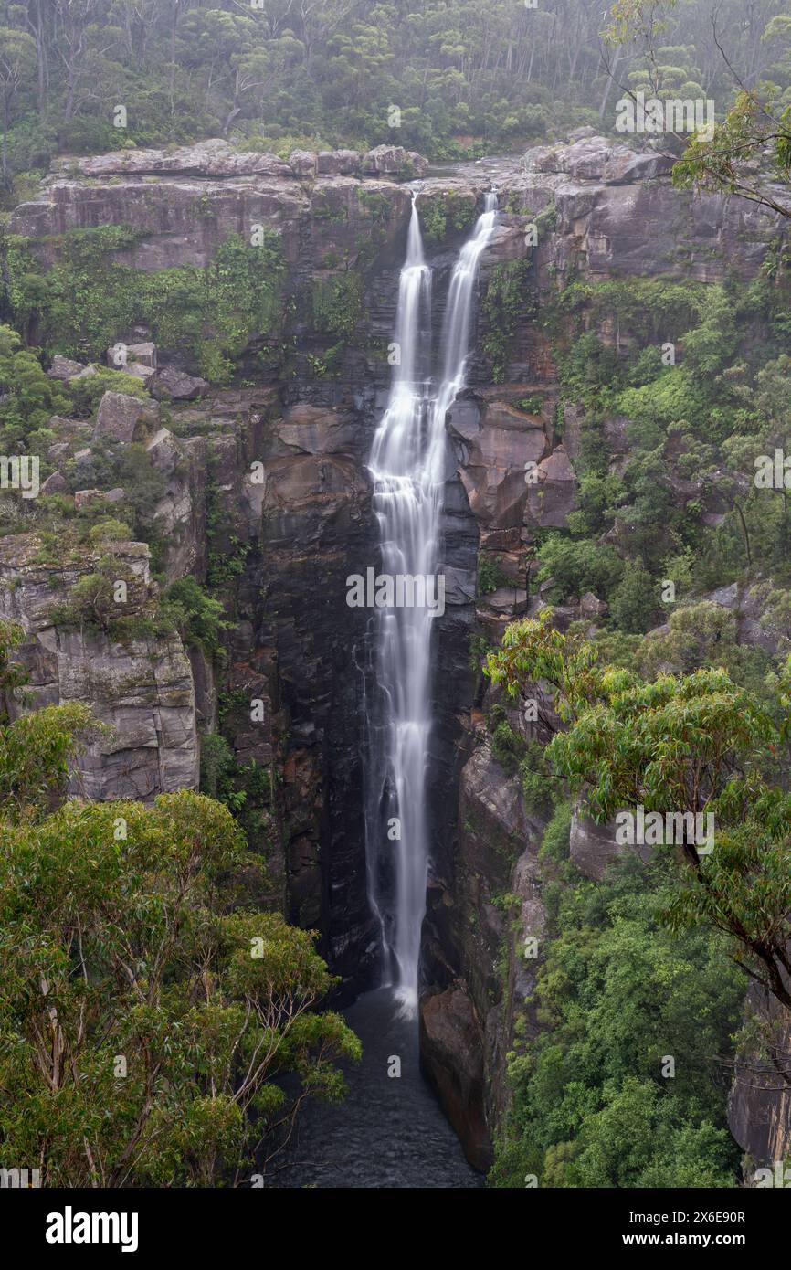 Carrington Falls dans le parc national de Budderoo, Australie, Nouvelle-Galles du Sud. Banque D'Images