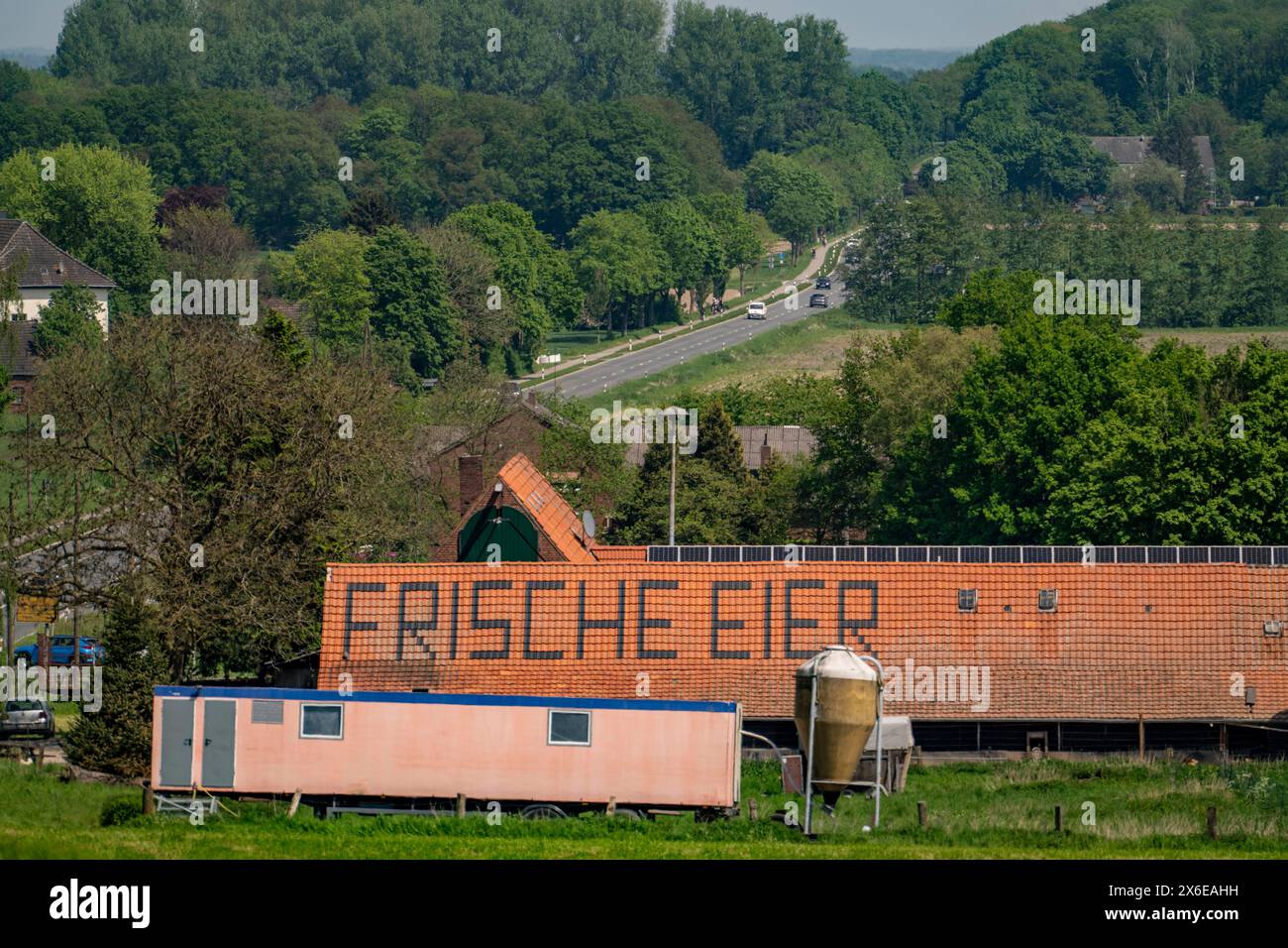 Bauernhof BEI Xanten, verkauft frische Eier ab Hof, Hofladen, Höhnshof, Werbung auf dem roten Schindeldach, NRW, Deutschland, Landwirtschaft Eier *** ferme près de Xanten, vend des œufs frais de la ferme, magasin de ferme, Höhnshof, publicité sur le toit de bardeaux rouges, NRW, Allemagne, oeufs agricoles Banque D'Images