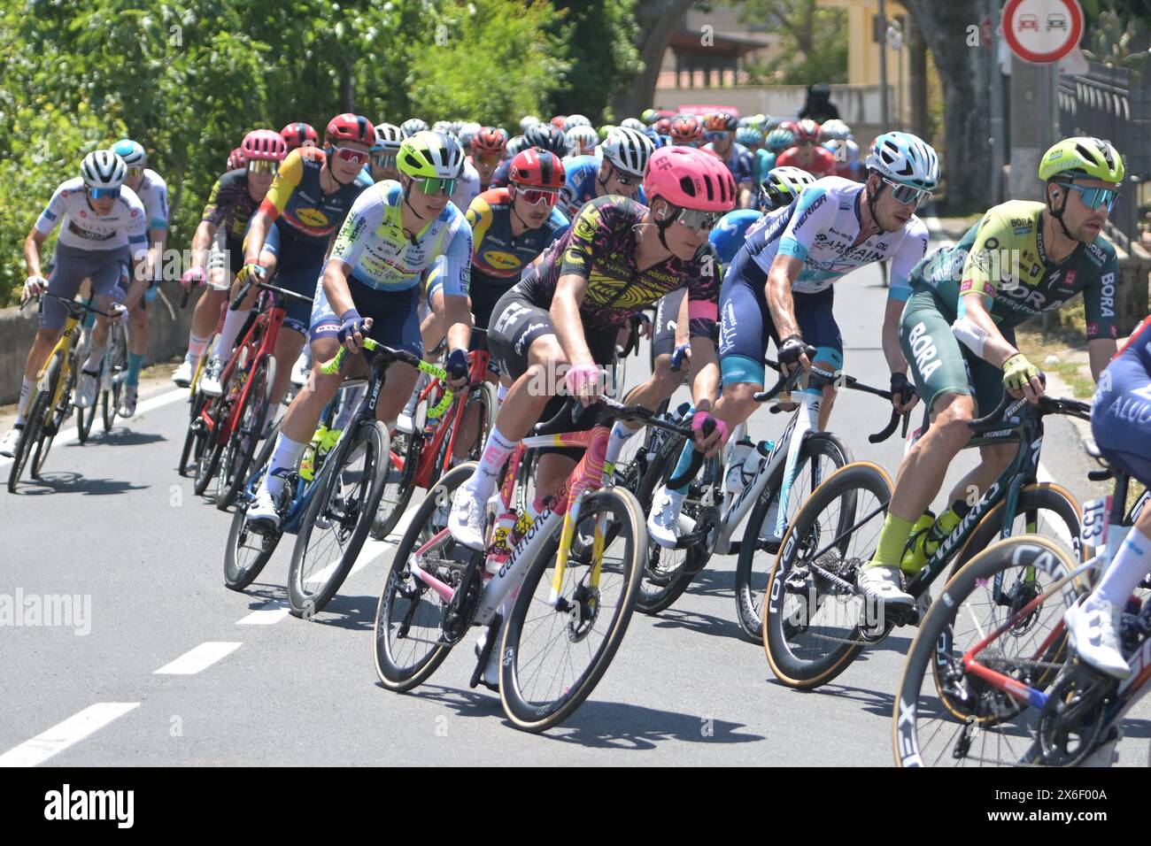 Palma Campania, Italie. 14 mai 2024. Étape cycliste du Giro D'Italia à Palma Campania dans la province de Naples. Les cyclistes, qui sont partis de Pompéi, en action lors du passage avec arrivée à Cusano Mutri. (Crédit image : © Agostino Gemito/Pacific Press via ZUMA Press Wire) USAGE ÉDITORIAL SEULEMENT! Non destiné à UN USAGE commercial ! Banque D'Images